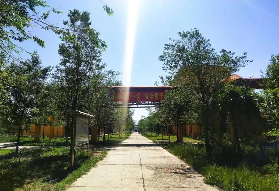 宝石花·有声 | 十年，我爱上了你——恒盛